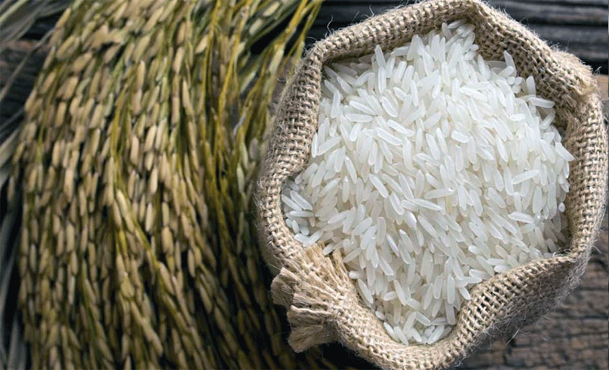 बासमती धानमाथि दावी गर्दै नेपालले बुझायो ७० प्रमाण