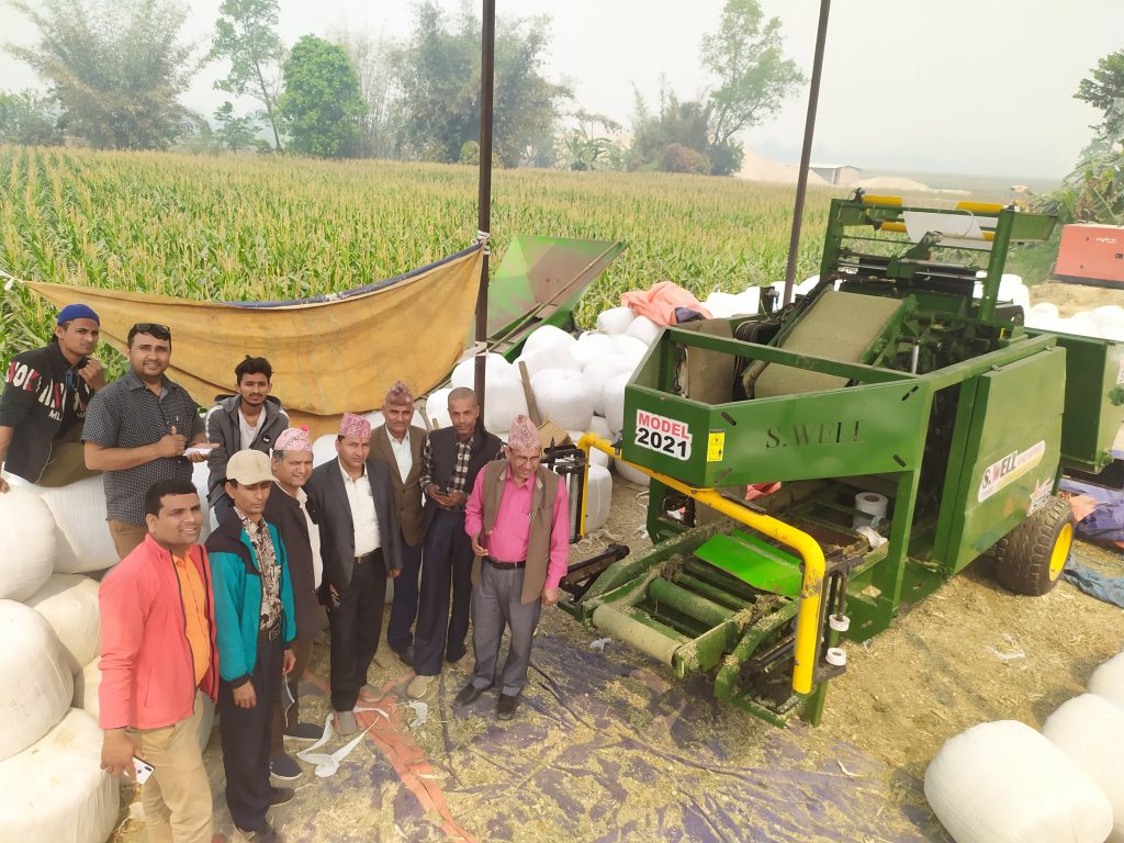 पोषिलो पशुआहार ‘साईलेस’ घाँस उत्पादनमा पालिका अध्यक्ष हुमागाईको चासो