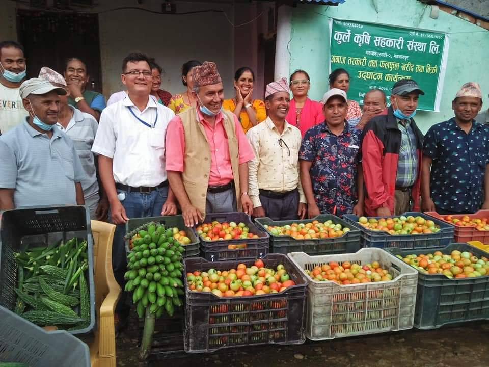 मकवानपुरगढी २ मा रहेको कुर्ले सहकारी मार्फत बजारीकरणको शुभारम्भ