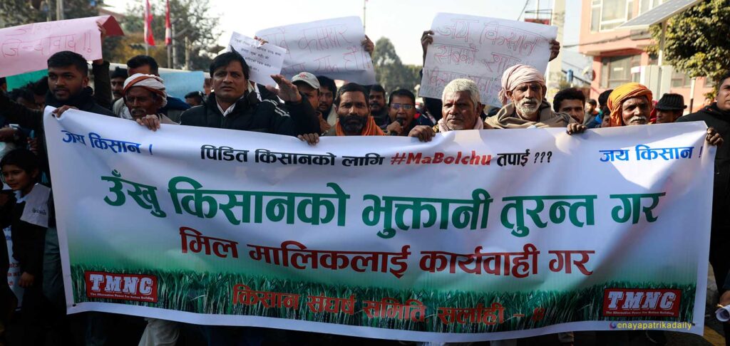 सरकारले आश्वासन मात्रै दिए आन्दोलन गर्ने उखु किसानको चेतावनी