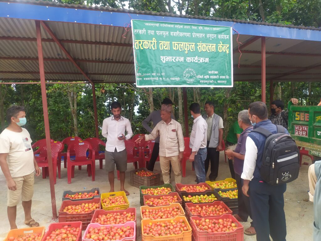 सहकारी मार्फत उत्पादित तरकारी तथा फलफुलको बजारीकरण शुभारम्भ