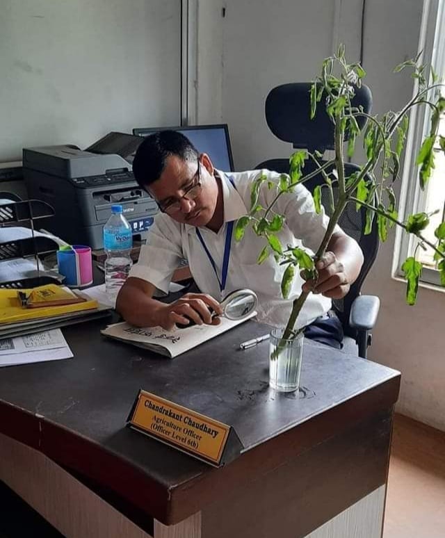 मकवानपुरगढी गाउँपालिकाका कृषि अधिकृत चौधरी राष्ट्र सेवक ईन्टीग्रेटी आईकन २०२१ बाट सम्मानित