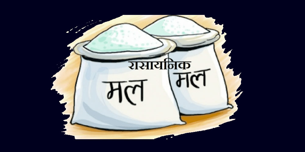 कृषिका लागि सहुलियतमा आएको युरिया मल प्लाइउड टाँस्न प्रयोग, किसान भने मल नभएर दुखी