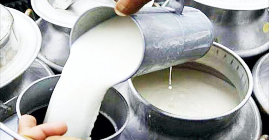 दुध बेचे बापतको झन्डै ४ अर्ब रुपैयाँ किसानले अझै पाएनन्, ‘दुग्धजन्य पदार्थमा देश परनिर्भर हुने जाेखिम’