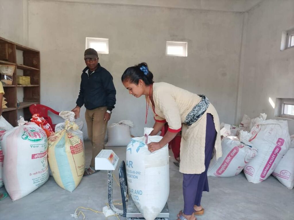 मकवानपुरगढीमा कोदो संकलन शुरु,किसानले प्रति केजी ६० रुपैयाँका दरले पाउने, रैथानेबालीमा प्रोत्साहन अनुदान