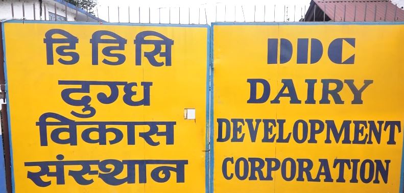 मिल्क होलिडे हुँदैन : डिडिसी