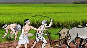 चालू आर्थिक वर्षमा ३० लाख किसानलाई सूचीकरण गर्ने सरकारको लक्ष्य