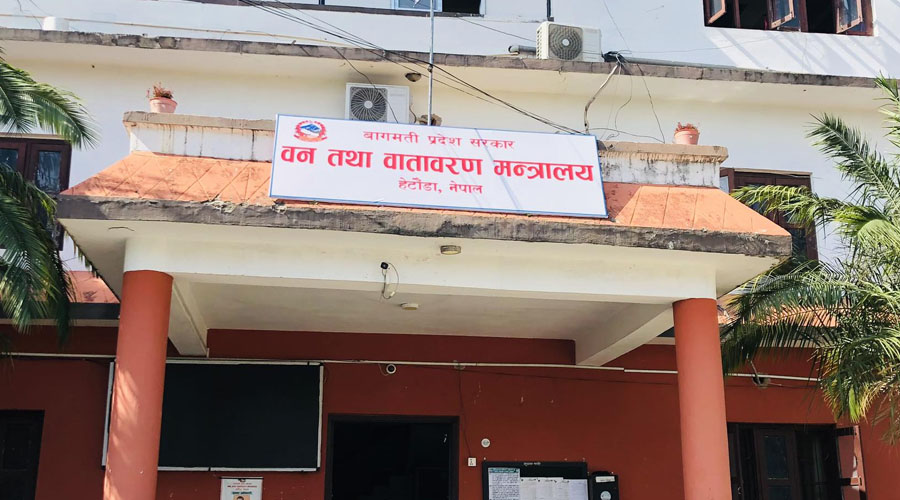 बागमती प्रदेशका निजी वनमा सालको रुख काट्न अनुमति दिने कार्यविधि तयार