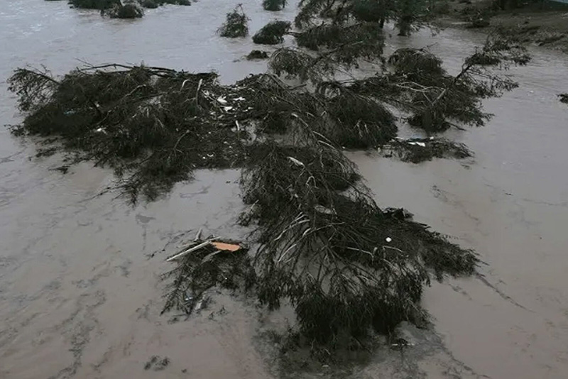 पाकिस्तानमा बाढीबाट मृत्यु हुनेको सङ्ख्या ४०० नाघ्यो